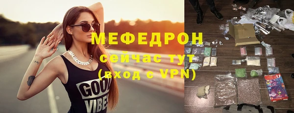 соль ск Дмитриев