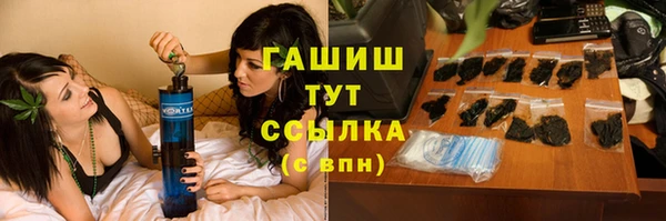 соль ск Дмитриев