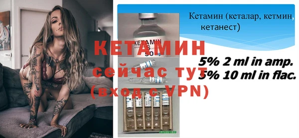 соль ск Дмитриев