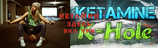 соль ск Дмитриев