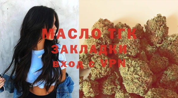шишки Дмитровск