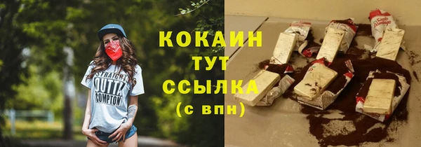 шишки Дмитровск