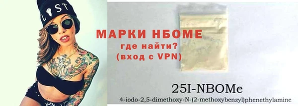 соль ск Дмитриев