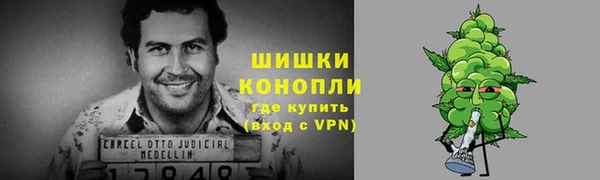 соль ск Дмитриев
