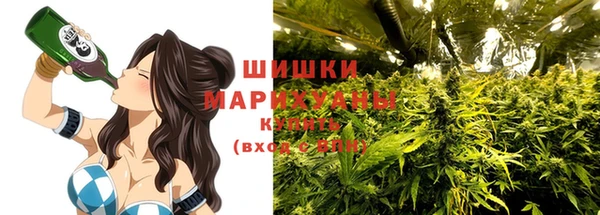 apvp Дмитров