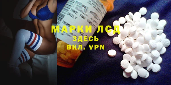 шишки Дмитровск