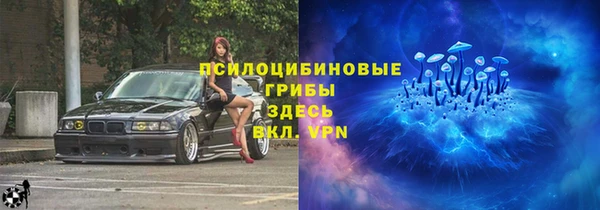 соль ск Дмитриев