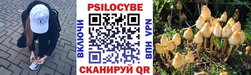 Галлюциногенные грибы Psilocybine cubensis  купить наркоту  Троицк 
