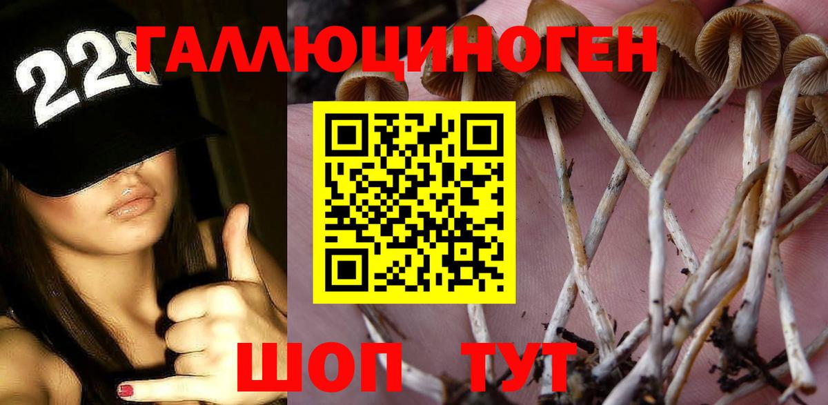Галлюциногенные грибы MAGIC MUSHROOMS  Вход с VPN  купить наркотики сайты  Троицк 